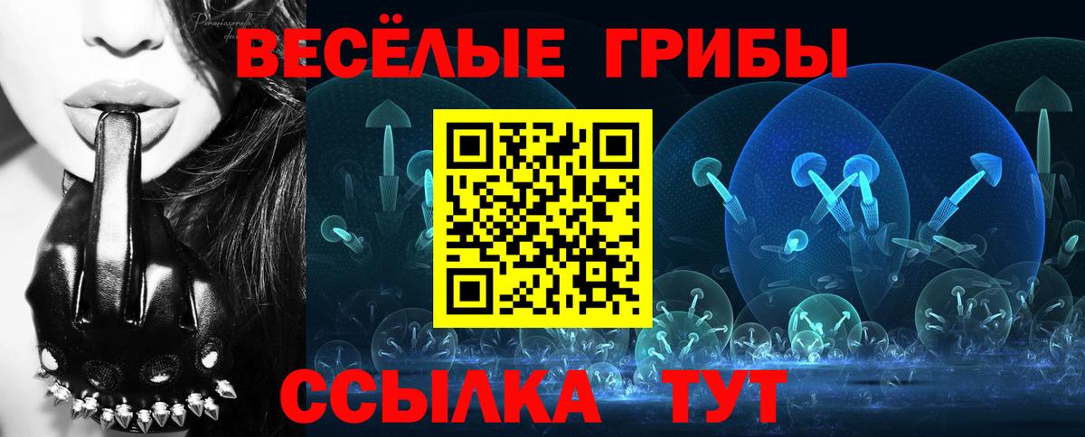 Рассказово  Псилоцибиновые грибы Psilocybe  Вход с VPN  Псилоцибиновые грибы мицелий 